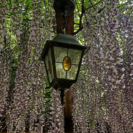 Hotel Dvorik Leva 3*