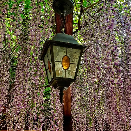 Hotell Dvorik Leva 3*