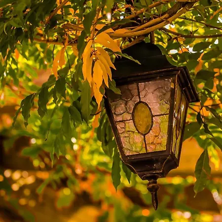 Dvorik Leva ホテル 3*