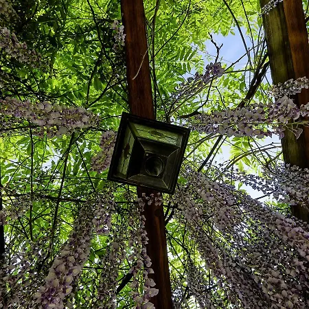 Dvorik Leva 3* トラスコヴェッツ