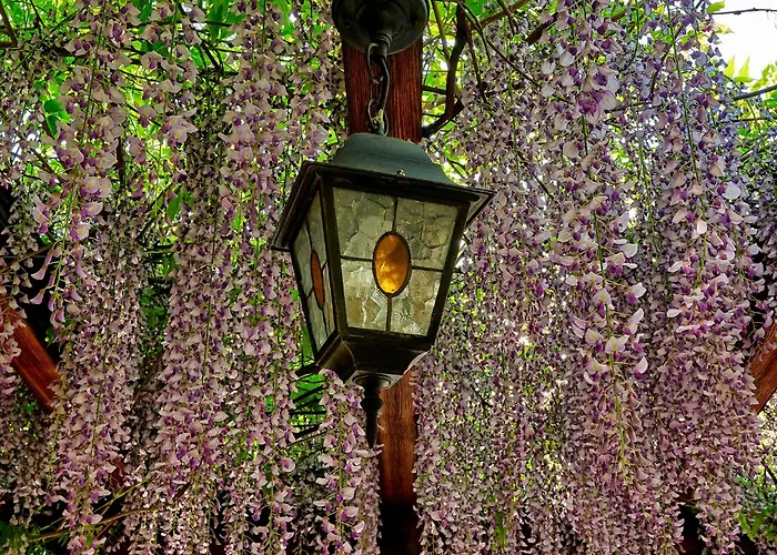 Hotell Dvorik Leva 3*